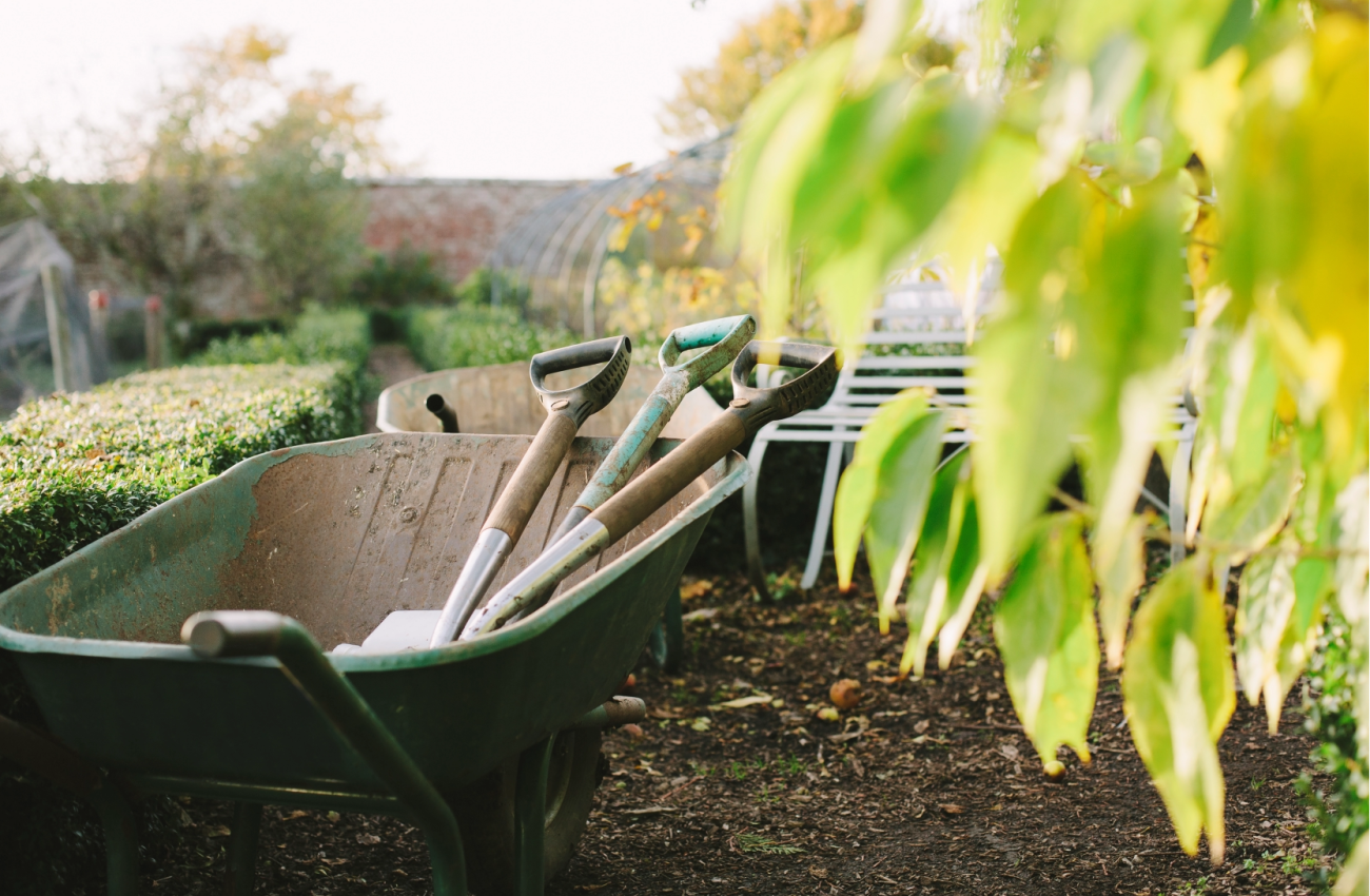 Schubkarre mit Gartenwerkzeug im Grünen – Gartenpflege von All’Mega Service